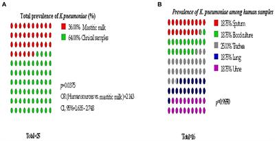 Essential oils as capsule disruptors: enhancing antibiotic efficacy against multidrug-resistant Klebsiella pneumoniae